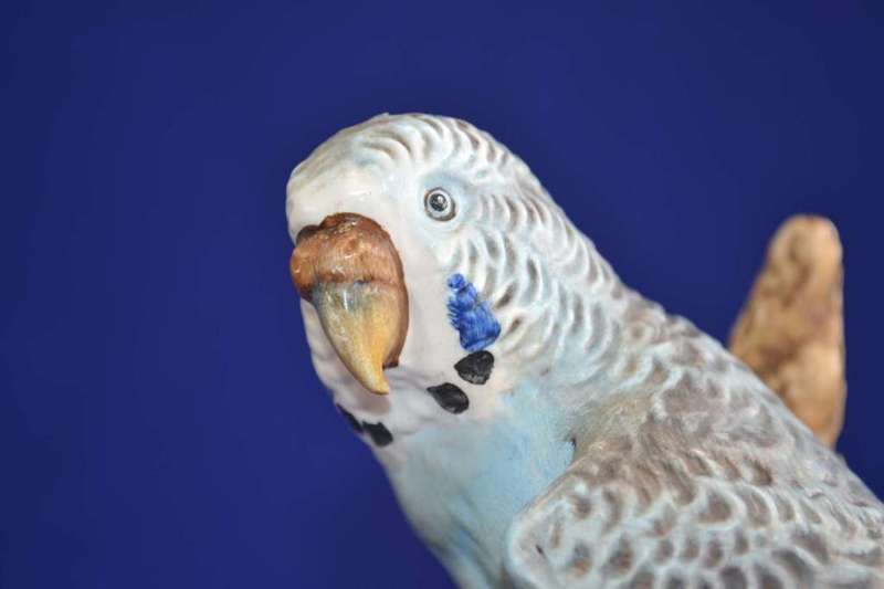 Goebel West Germany Vintage Budgie model 1973