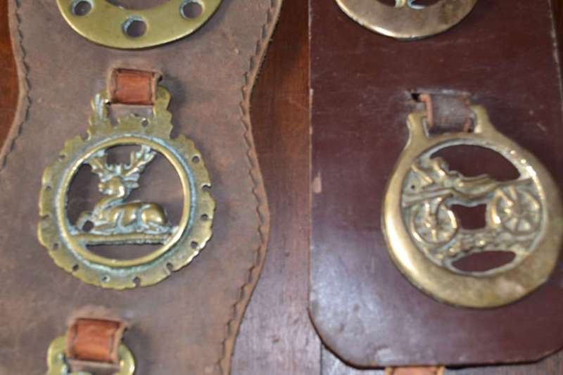 Assorted Vintage Horse Brasses on leather Straps