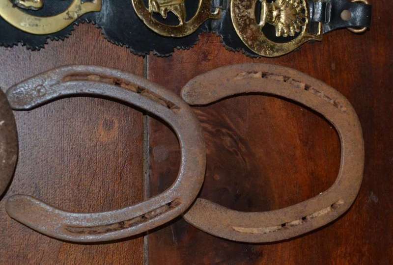 Horse Brasses on Leather Strap Plus 4 Horse Shoes