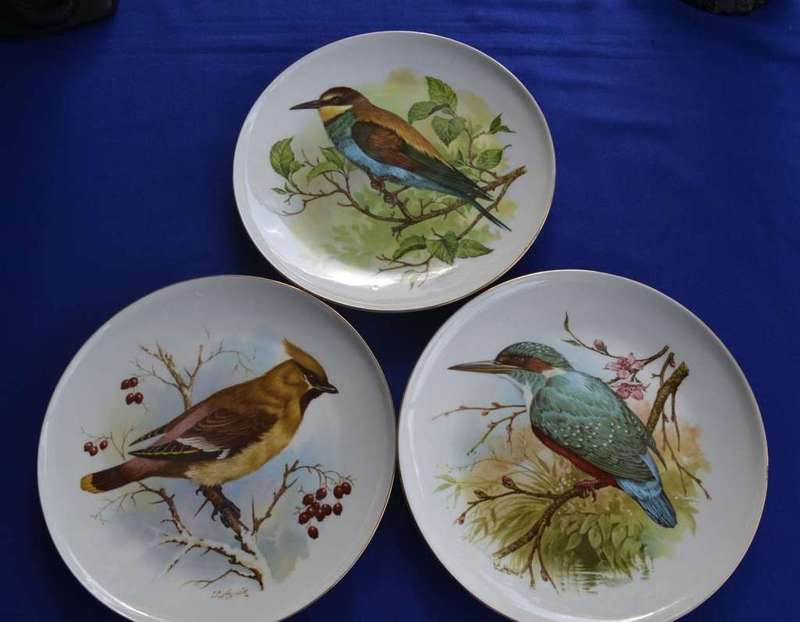 Constantia China Set of Three Bird Display / Wall Plates