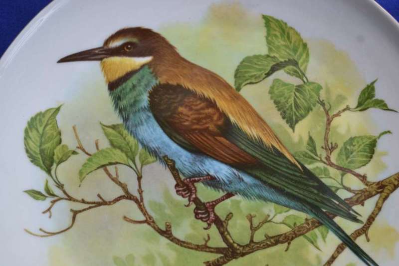 Constantia China Set of Three Bird Display / Wall Plates