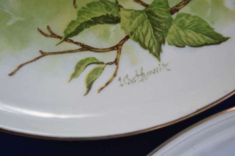 Constantia China Set of Three Bird Display / Wall Plates