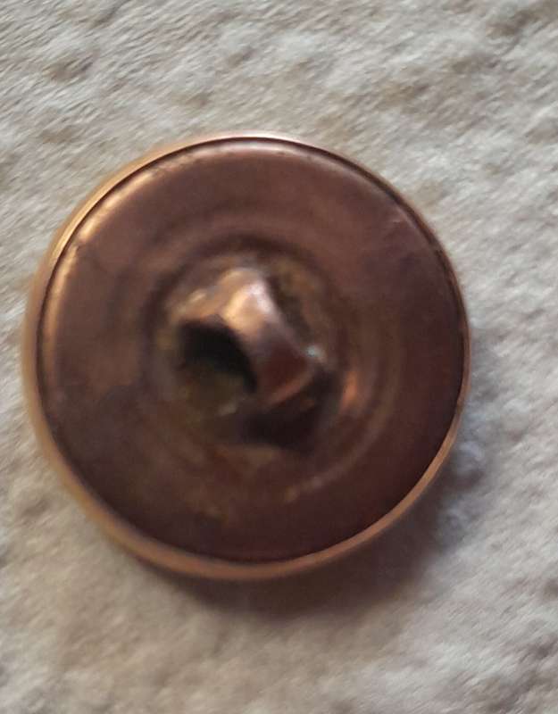 Brass Button with Insignia / Coat of Arms