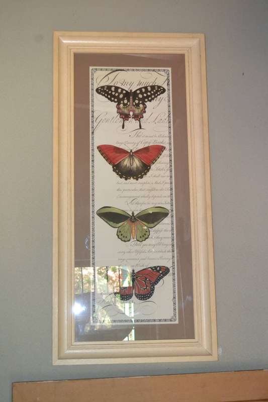 Large Vintage Stle Butterfly Print - Framed behind Glass