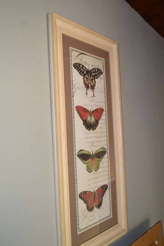 Large Vintage Stle Butterfly Print - Framed behind Glass