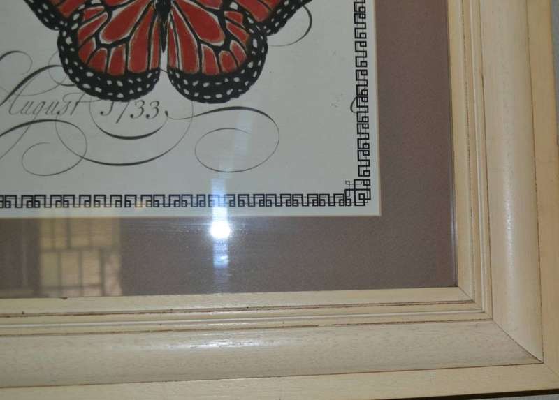 Large Vintage Stle Butterfly Print - Framed behind Glass