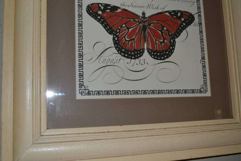 Large Vintage Stle Butterfly Print - Framed behind Glass