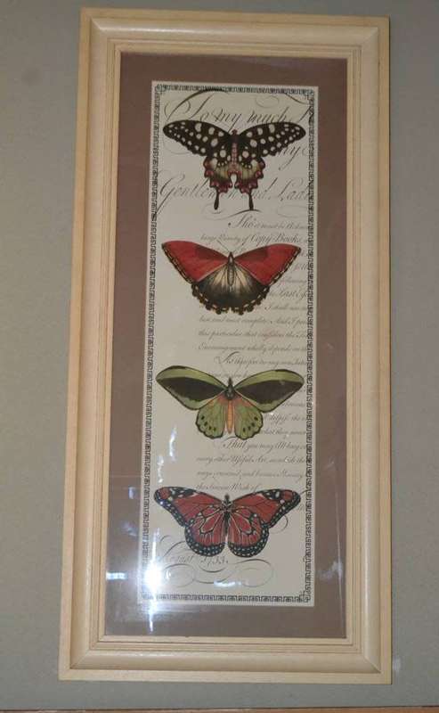 Large Vintage Stle Butterfly Print - Framed behind Glass