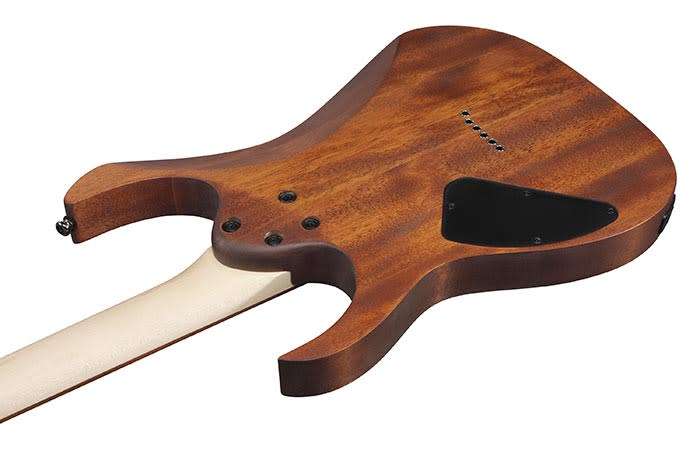 Ibanez -RG421 Electric Guitar