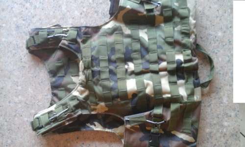Plate carrier vest