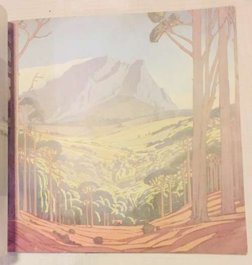 RARE !! `PIERNEEF THE STATION PANELS`  FIRST EDITION,