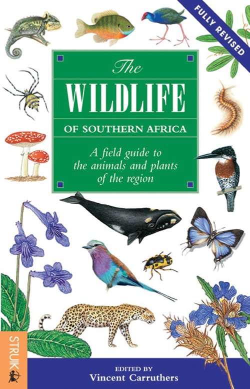`THE WILDLIFE OF SOUTHERN AFRICA`, 2008 BY VINCENT CARRUTHERS