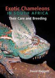 `EXOTIC CHAMELEONS IN SOUTH AFRICA THEIR CARE AND BREEDING`, 2009, FIRST EDITION BY DAVID HAGGETT