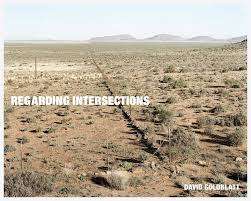 `REGARDING INTERSECTIONS` BY DAVID GOLDBLATT
