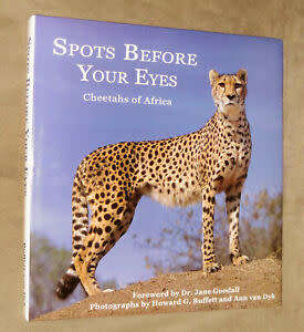 Spots Before Your Eyes: Cheetahs of Africa