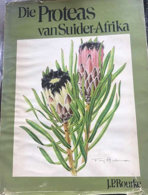 `DIE PROTEAS VAN SUIDER-AFRIKA` BY J. P. ROURKE