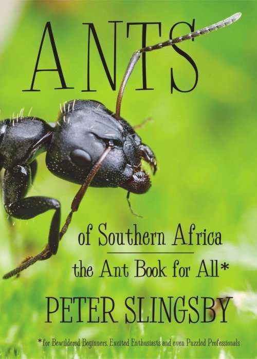"ANTS OF SOUTHERN AFRICA - THE ANT BOOK FOR ALL" BY PETER SLINGSBY