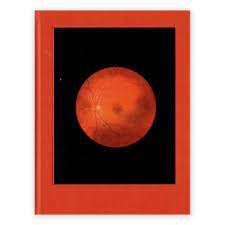 MIKHAEL SUBOTZKY `RETINAL SHIFT` FIRST EDITION, 2012