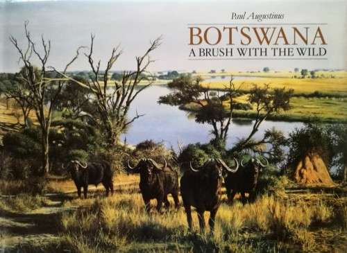 `BOTSWANA - A BRUSH WITH THE WILD` BY PAUL AUGUSTINUS