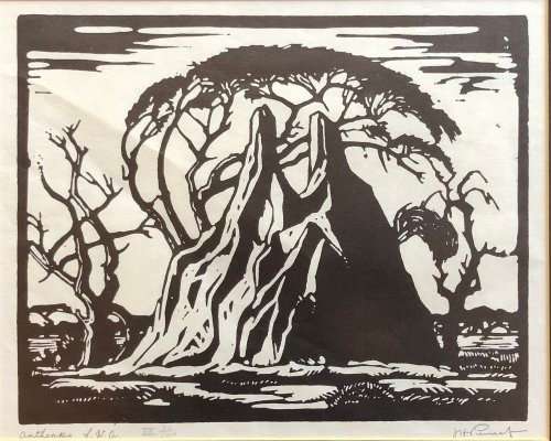 PIERNEEF LARGE A4 SIZE PHOTOLITHOGRAPHIC PRINT "ANTHEAPS SWA"