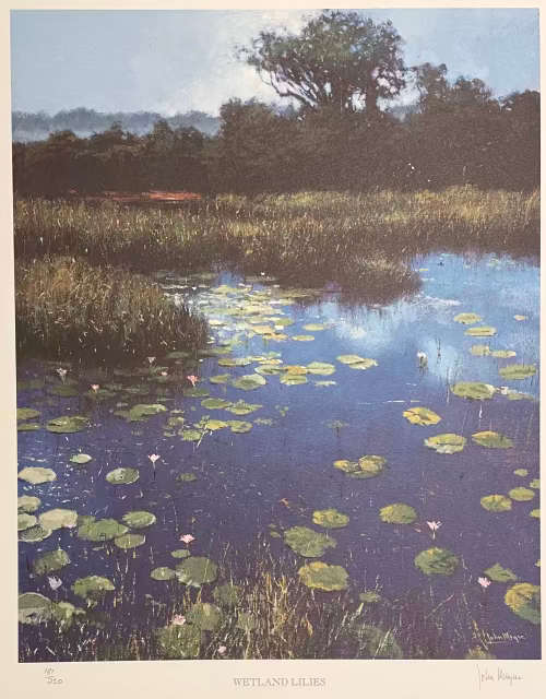 RARE!! ONE SET OF 12 SIGNED AND NUMBERED JOHN MEYER PRINTS IN FINE SLIPCASE UNFRAMED