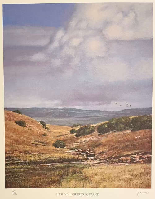 RARE!! ONE SET OF 12 SIGNED AND NUMBERED JOHN MEYER PRINTS IN FINE SLIPCASE UNFRAMED