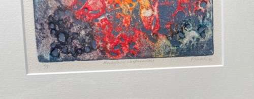 SIGNED!! DURANT SIHLALI `ROCKFACE IMPRESSIONS` LIMITED EDITION A/P (ARTIST PROOF)