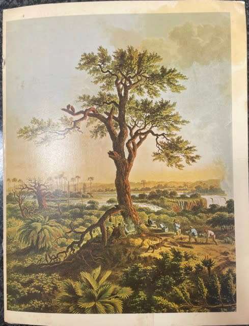 `RHODESIA BEFORE 1920`