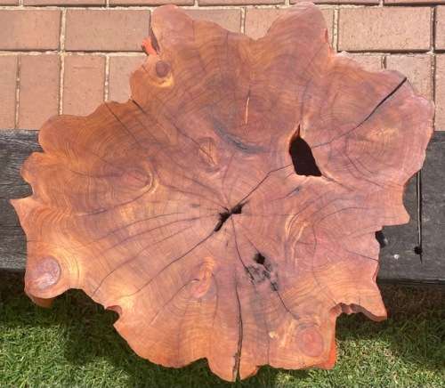 SIGNED!! TURNED WOOD ARTWORK BY ANGUS D. CAMPBELL