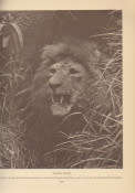 `THE GAME ANIMALS OF AFRICA` BY R LYDEKKER, 1932