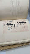 RARE! DOUBLE VOLUME - ROCK PAINTINGS OF SOUTH AFRICA (V1) & MORE ROCK PAINTINGS OF SOUTH AFRICA (V2)