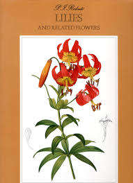 `P J REDOUTE: LILIES AND RELATED FLOWERS` BY BRIAN  MATHEW