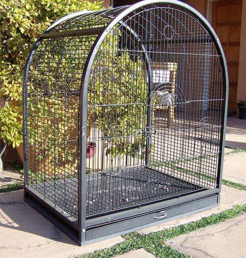 PARROT CAGE