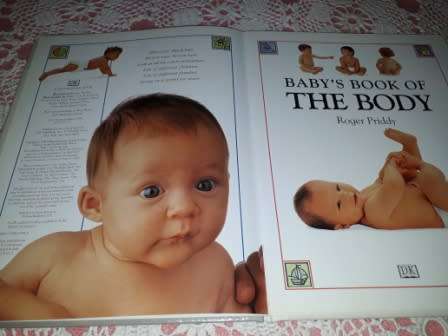 Baby`s Book of the Body.  Roger Priddy
