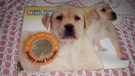 Puppy and Friends   Touch, feel and Say