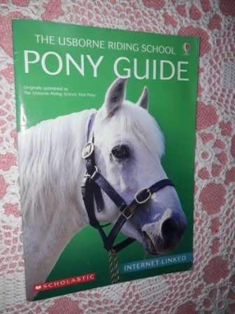 The Usborne Riding School   Pony Guide