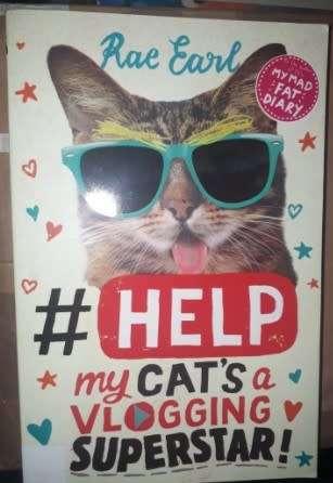 Help  my Cat`s a Vlogging Superstar  Rae Earl