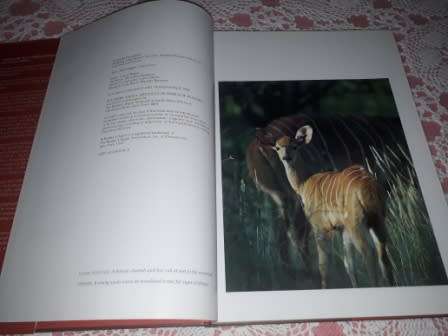 Southern Africa Spectacular World of Wildlife   Readers Digest