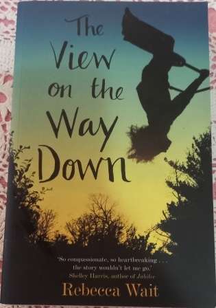 The View on The Way Down, Rebecca Wait