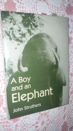 a Boy and Elephant John Struthers