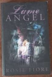 Lame Angel by Rosie Fiore and Practically Perfect by Katie Fforde