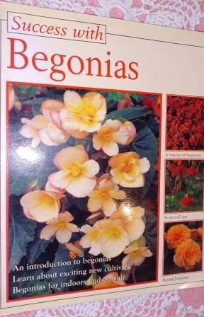 Success with Begonias  Halina Heitz