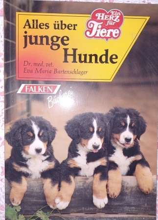 Alles uber junge Hunde & Junge Katzen Dr Eva Bartenschlager
