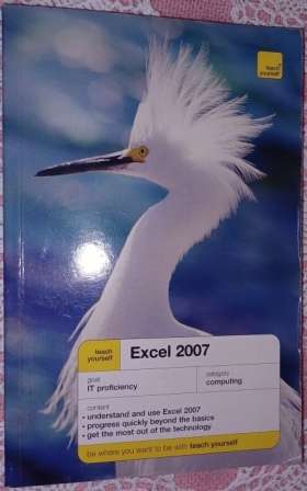 Excel 2007