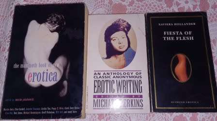Erotic writing M Perkins / Fiesta of the Flesh X Hollander/Mammoth Book of new Erotica