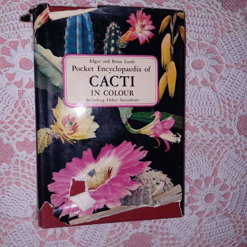 Pocket Encyclopedia of CACTI in color by Edgar and Brian Lamb