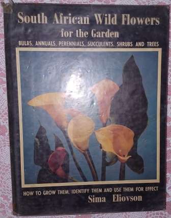 South African Wild Flowers for the Garden  Sima Eliovson