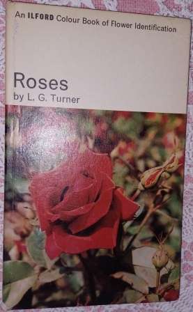 Roses  LG Turner