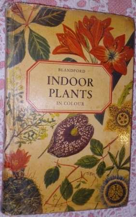 Indoor Plants  in Colour    Eigil  Kiaer