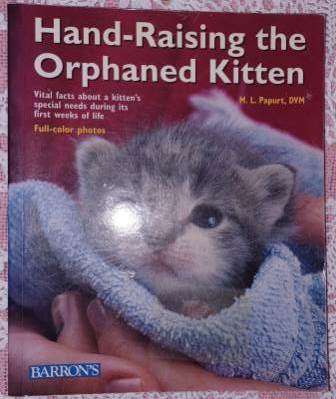 Hand-Raising the Orphaned Kitten  ML Papurt DVM